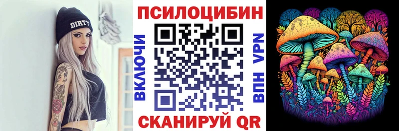 omg зеркало  Азнакаево  Псилоцибиновые грибы Cubensis 